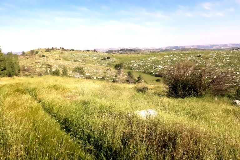 תגובה מהירה של צה"ל סיכלה איום ביהודה: מיקוד בהרתעה אסטרטגית