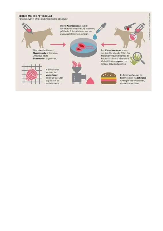 Aleph Farms cultivated beef steak cellular agriculture