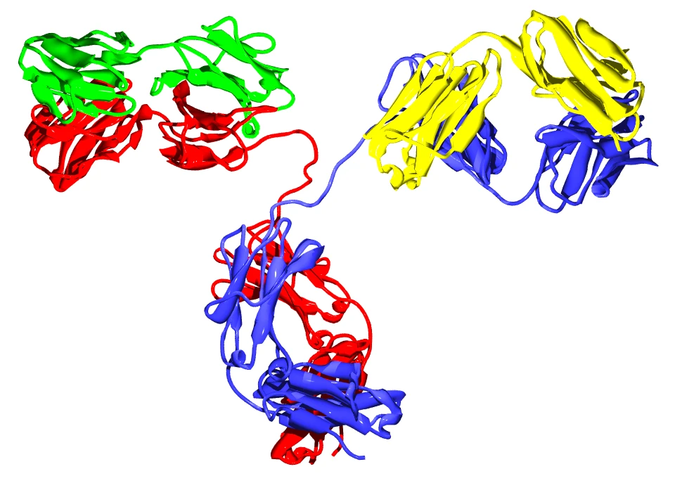Copaxone chemical copolymer structure and multiple sclerosis mechanism