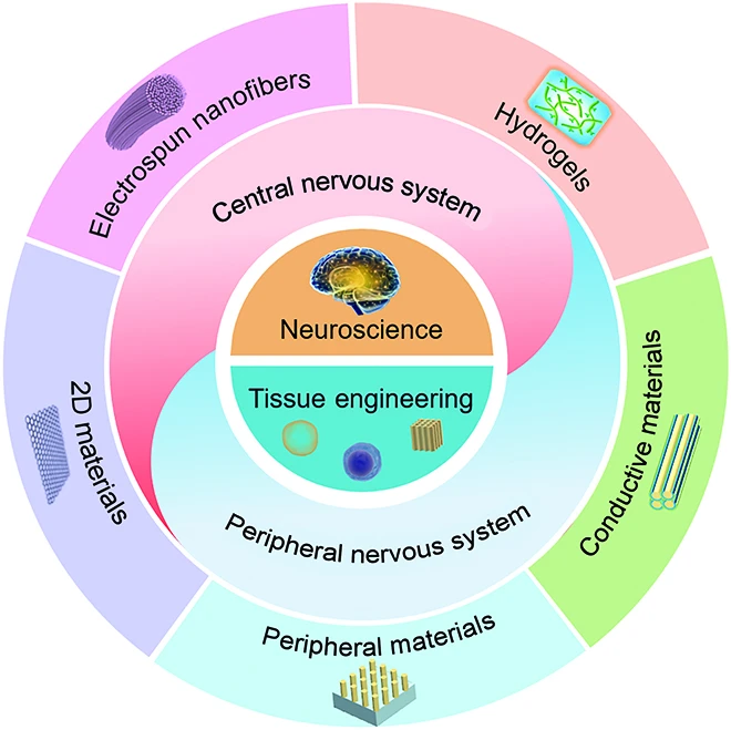 3D bioprinting and vascularized tissue engineering scaffold