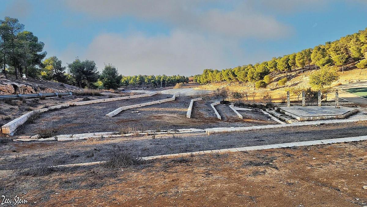 Yatir Forest in the Negev Desert