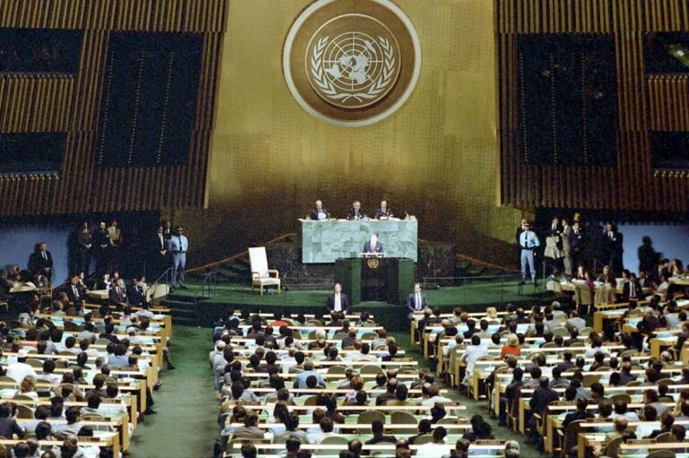 UN Database Update Targets 61 Firms: Navigating Economic Resilience and Regional Markets