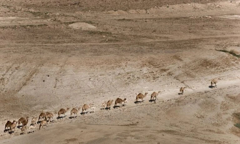 Israeli Authorities Review Agricultural Rulings to Maintain Regional Stability